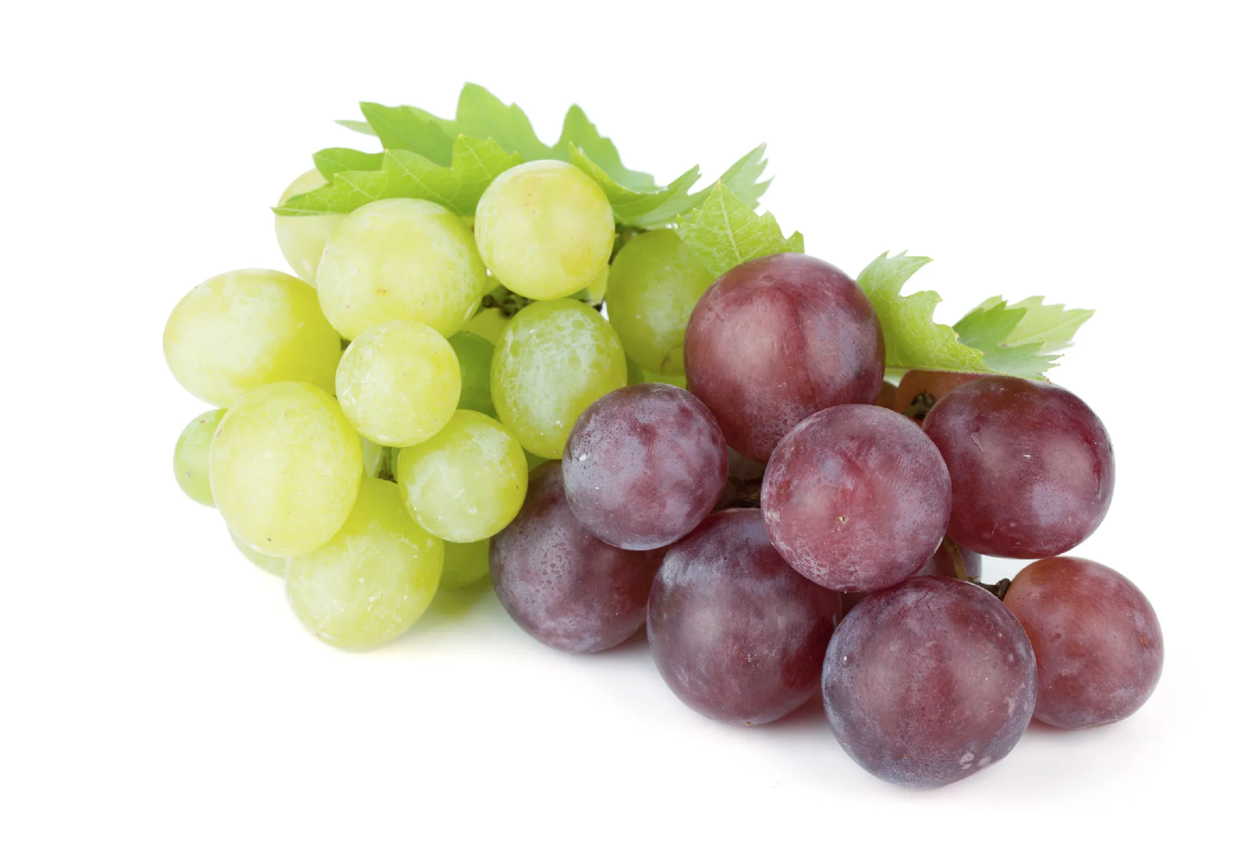 Grapes